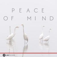 Diese zehn sanften Stücke mit Klavier als Solo- oder Hauptinstrument passen zu Reportagen über zwischenmenschliche Beziehungen, Bildern von Natur, Wellness und Jahreszeiten oder Szenen von Abschied und Nachdenklichkeit.